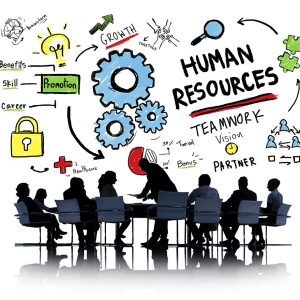 QM - Audit - Team Leader +  ISO 30415 Diversity and Inclusion Module